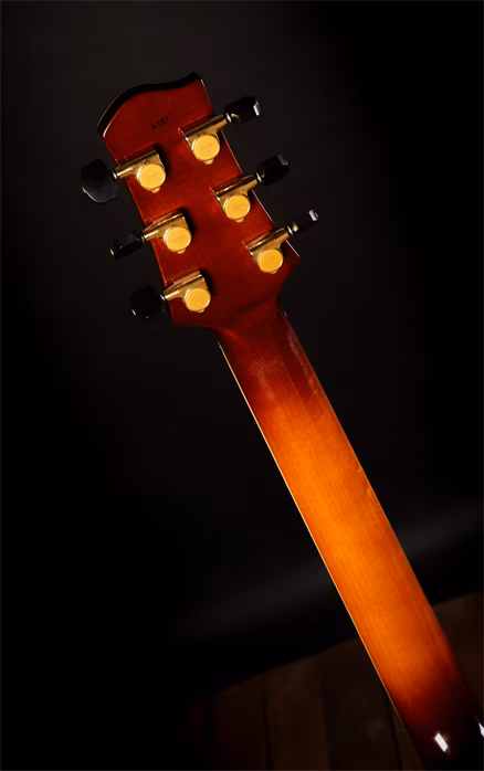 Sadowsky 2006 Jim Hall - Guitare semi acoustique