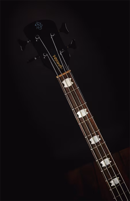 Spector 2018 EURO 4 LX - Basse électrique