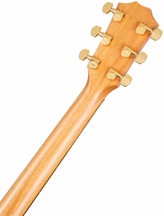 Taylor Custom 414ce SEB - Guitare électroacoustique