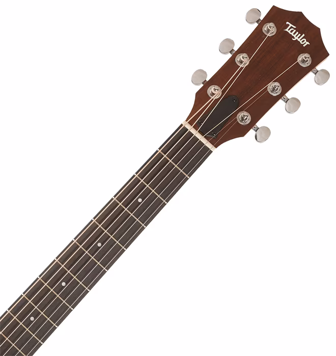Taylor BBT Walnut - Guitare acoustique