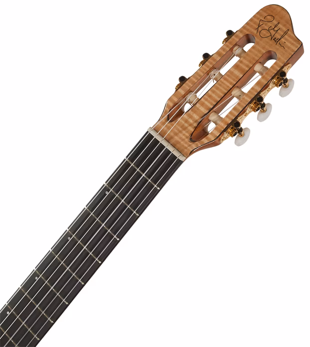 Godin Arena Flame Maple CW Dual Source EQ - Guitare classique électroacoustique