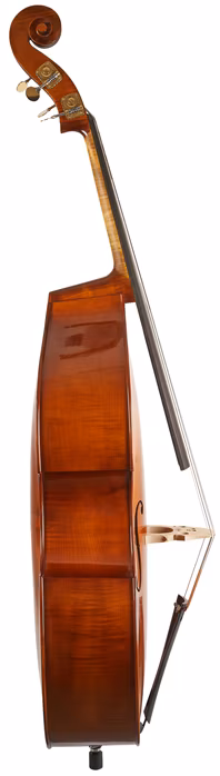 Gewa Meister Rubner Modell Nr. 62 - Contrebasse acoustique