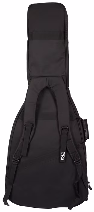 PRS CE24 Gold Top - Guitare électrique