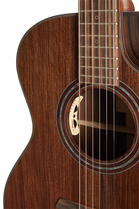 Furch Rainbow Gc-DE - Guitare électroacoustique