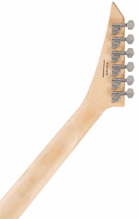 Jackson Pro Rhoads RR EB SW - Guitare électrique