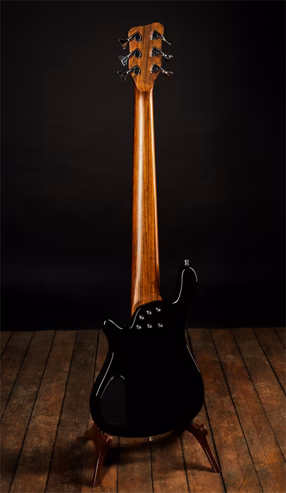 Warwick 2013 Steve Bailey Signature 6 PRO - Basse électrique