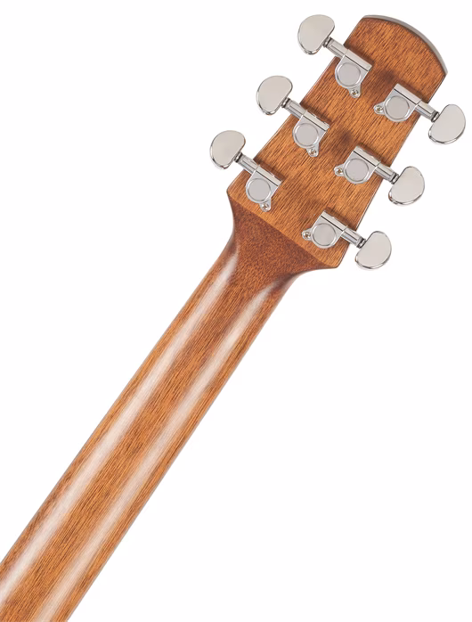 Walden WAG551EW - Guitare électroacoustique