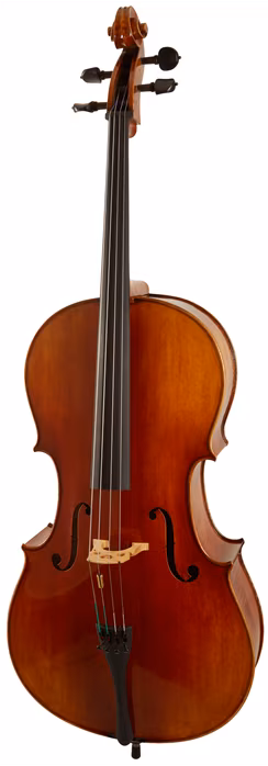 Martin W. Placht Violoncello model K - Violoncelle