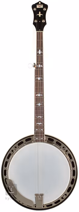 Recording King R35-BR - Banjo