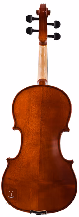 Soundsation VSVI-44 - Violon acoustique