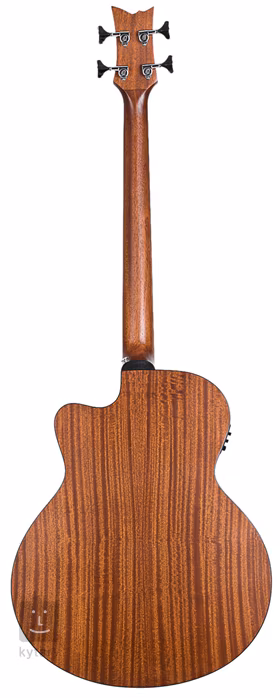 Ortega D538-4 - Basse électroacoustique