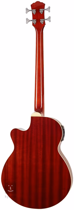 Washburn AB5-A-U - Basse électroacoustique