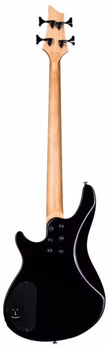 Schecter SGR C-4 BK HG - Basse électrique