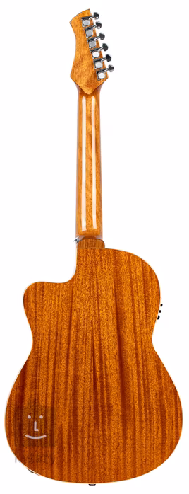 Ortega RCE238SN-FT - Guitare classique électroacoustique