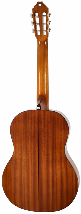 Washburn C5-A-U - Guitare classique