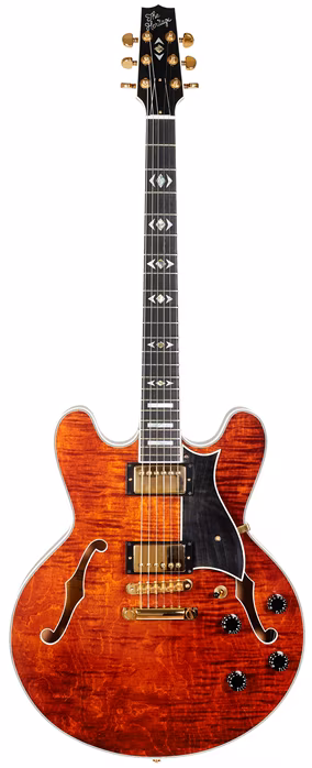 Heritage 2010 H-555 - Guitare semi acoustique