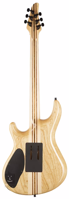 Mayones Regius PRO 6 T-BLK-G - Guitare électrique