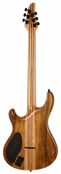 Mayones Regius Core Classic 6 T-WH-G - Guitare électrique