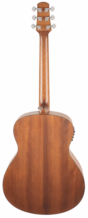 Walden WAG551EW - Guitare électroacoustique