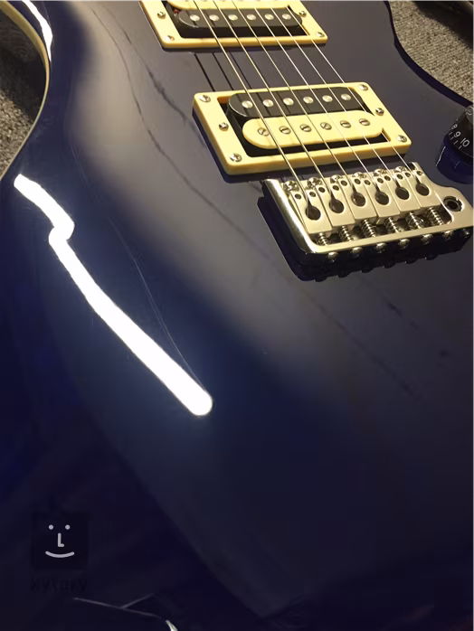 PRS SE Standard 24 TB 2021 (utilisé) - Guitare électrique