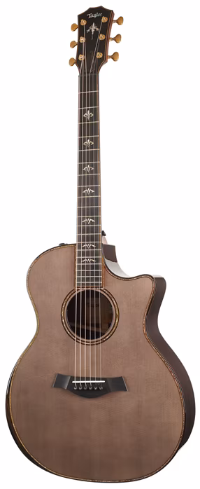 Taylor Custom GA C14ce B3020 - Guitare électroacoustique