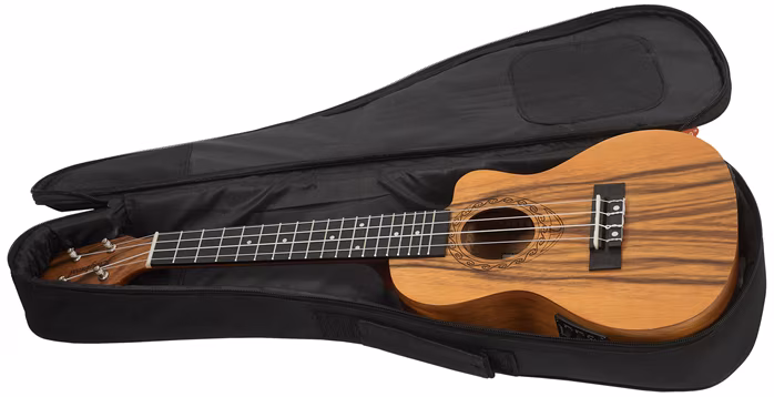 Tanglewood TWT 13 E - Ukulélé électroacoustique