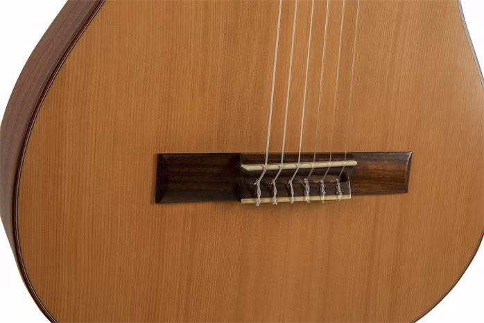 Manuel Rodriguez Tradicíon Series T-62 7/8 - Guitare classique
