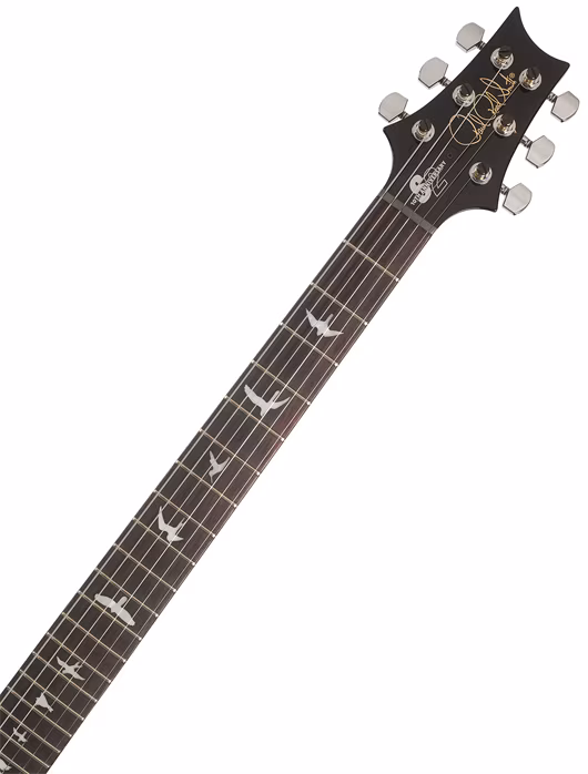 PRS S2 10th Anniversary Custom 24 GS - Guitare électrique