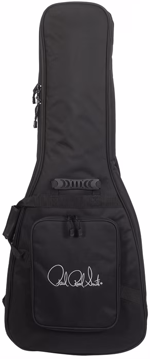 PRS S2 10th Anniversary Custom 24 GS - Guitare électrique