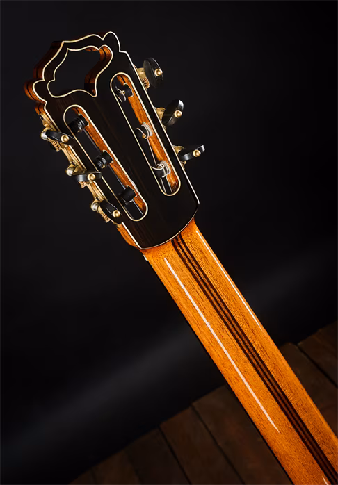 Hanika 2023 HE Lattice Custom+ Shadow Nanoflex  - Guitare classique