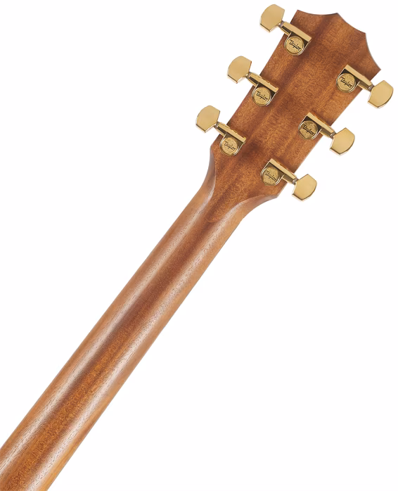 Taylor 224ce-K DLX LH - Guitare électroacoustique gaucher