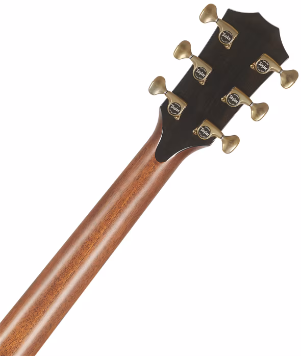 Taylor 912ce - Guitare électroacoustique