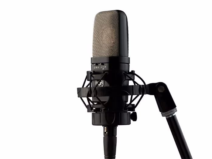 Warm Audio WA-14SP - Microphone ? condensateur