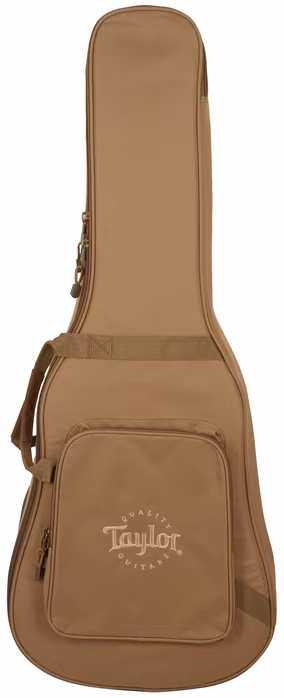 Taylor 210ce - Guitare électroacoustique