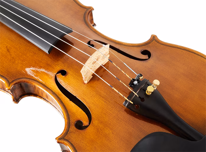 Petr Rácz Violin 4/4 "Guarneri del Gesù" anno 2021 - Violon acoustique