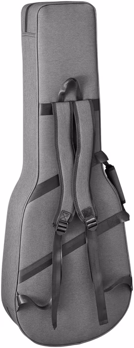 Takamine P3DC - Guitare électroacoustique