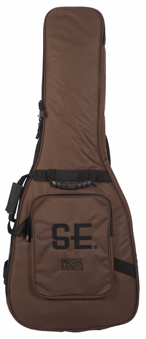 PRS SE Swamp Ash Special Charcoal (déballé) - Guitare électrique