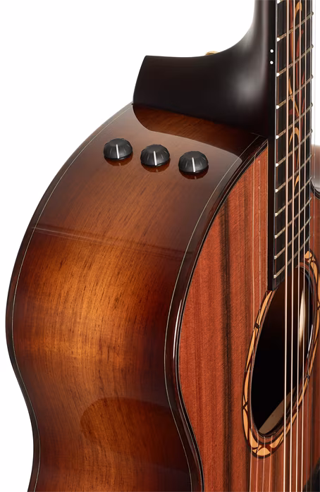 Taylor Custom C14ce B4002 - Guitare électroacoustique