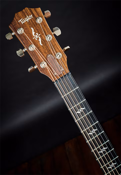 Taylor 2020 414ce-R - Guitare acoustique