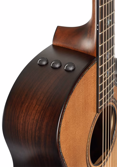 Taylor Builders Edition 914ce WHB - Guitare électroacoustique