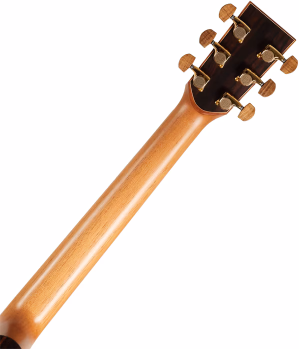 Lakewood M-48 Premium - Guitare acoustique