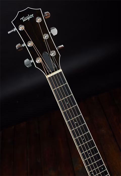 Taylor 2007 T5-S1 Standard Maple - Guitare hybride