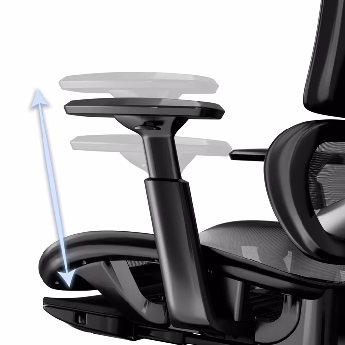 Mozos ERGO-R - Mobilier de studio