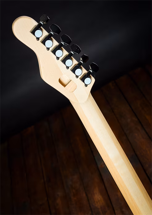 Pentagram Floyd Mahogany - Guitare électrique