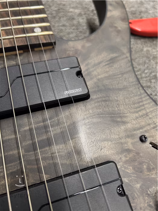 Ibanez RG9PB-TGF (déballé) - Guitare électrique a neuf cordes