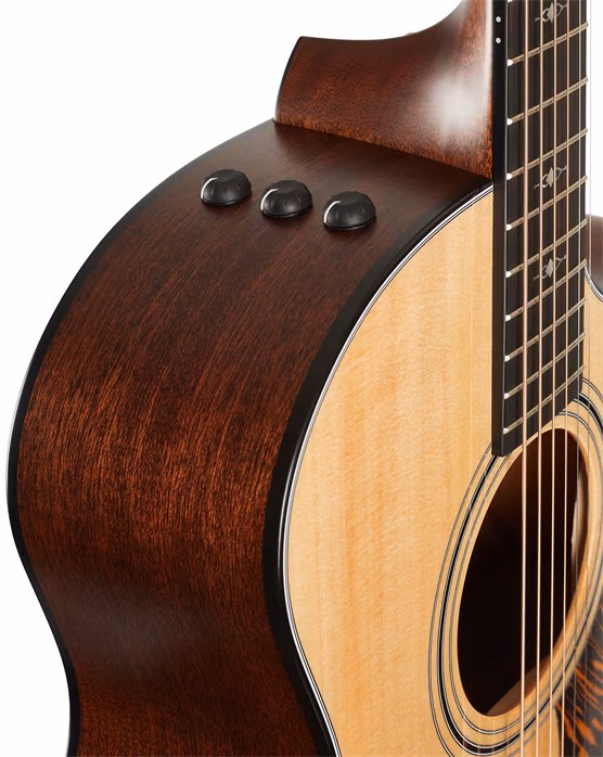 Taylor 314ce - Guitare électroacoustique
