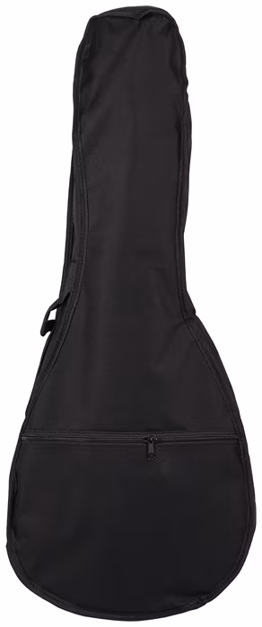 Soundsation BMA-60E VS - Mandoline électroacoustique