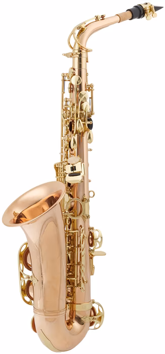 Arnolds & Sons AAS-100G - Saxophone