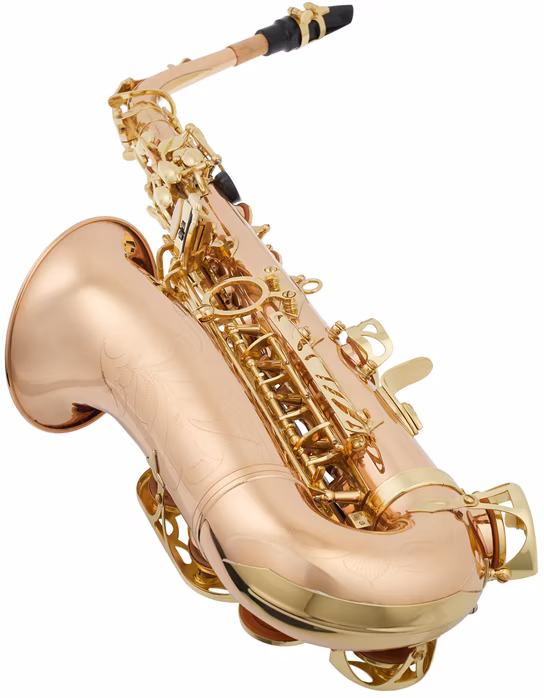 Arnolds & Sons AAS-100G - Saxophone