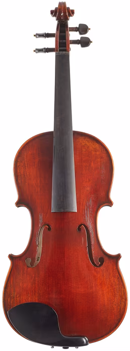 Eastman Amsterdam Atelier 1 Series 4/4 Violin - Violon acoustique